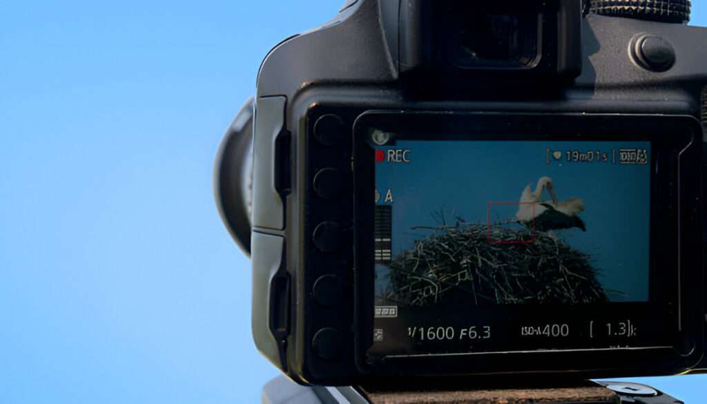 Remote Video Production image